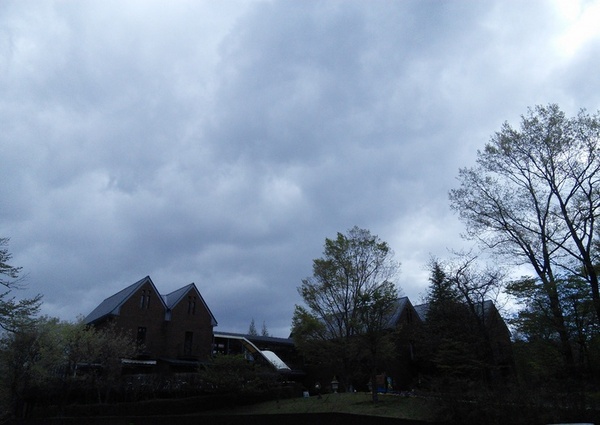NASU Teddy Bear Museum