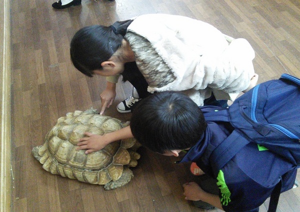 スモールアニマルハウス